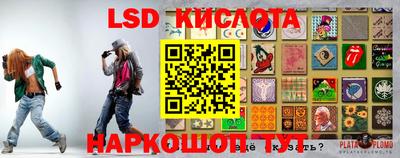 гашик Малоярославец