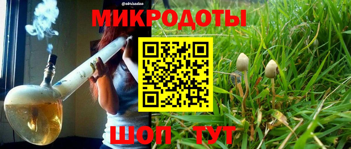 Псилоцибиновые грибы Psilocybine cubensis  Вход с VPN  Юрга 