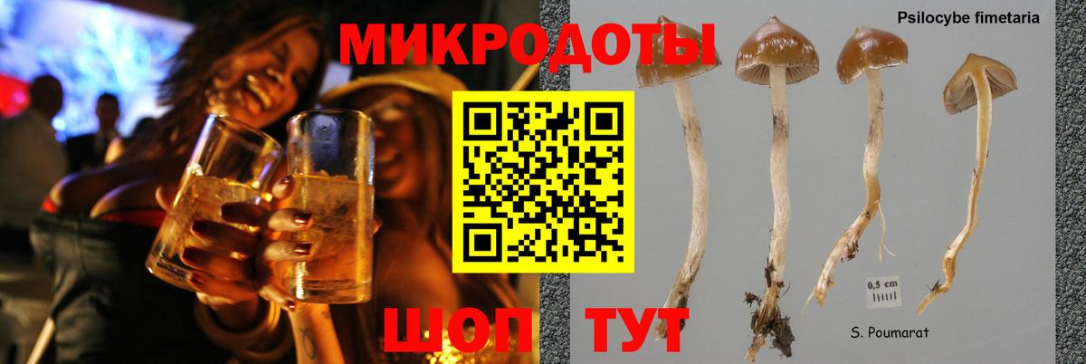 Псилоцибиновые грибы Magic Shrooms Юрга